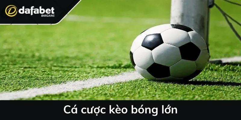 Cá cược kèo bóng lớn