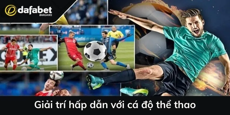 Giải trí hấp dẫn tại link vào dafabet trực tuyến với cá độ thể thao